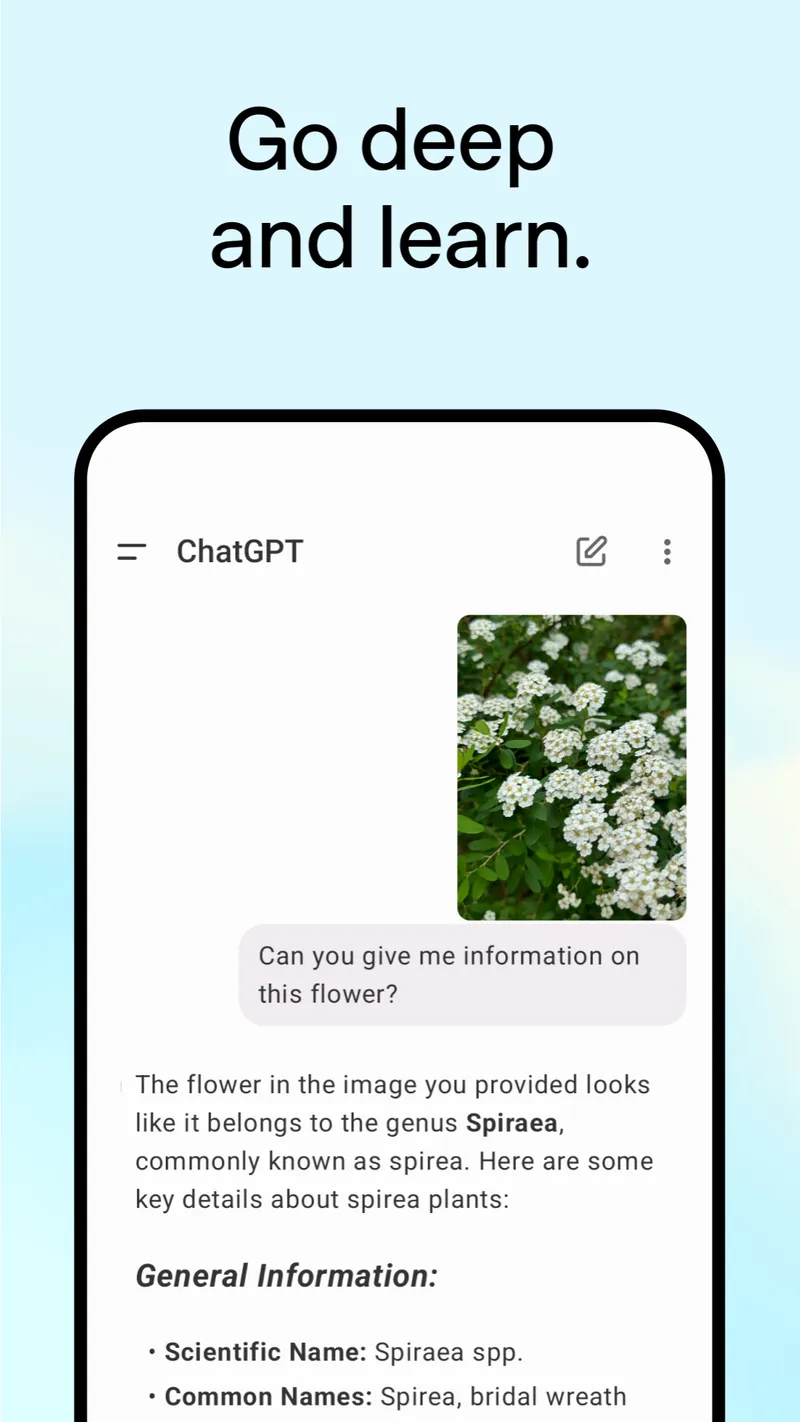 ChatGPT screenshot 4
