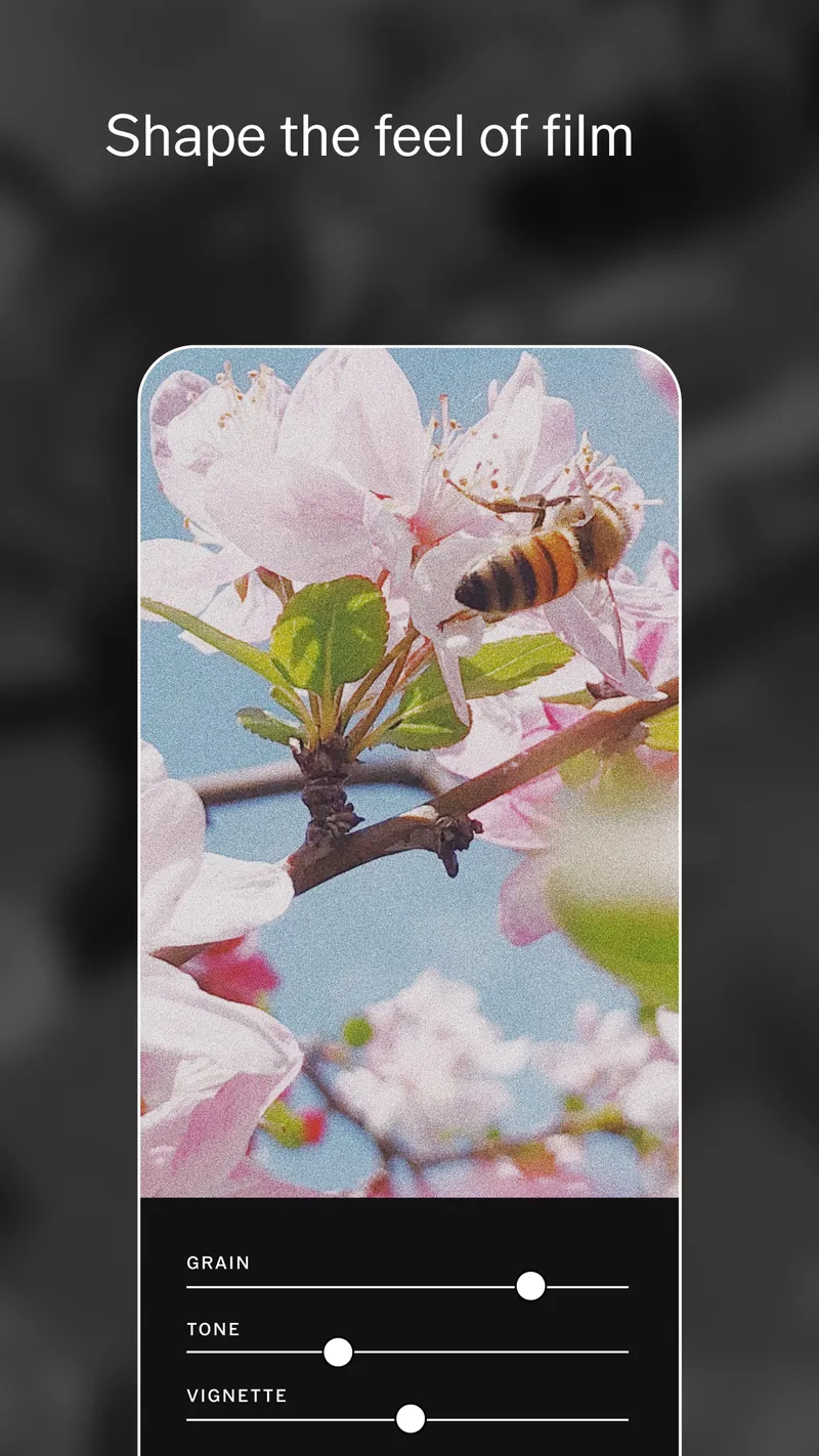 VSCO: Photo Editor screenshot 4