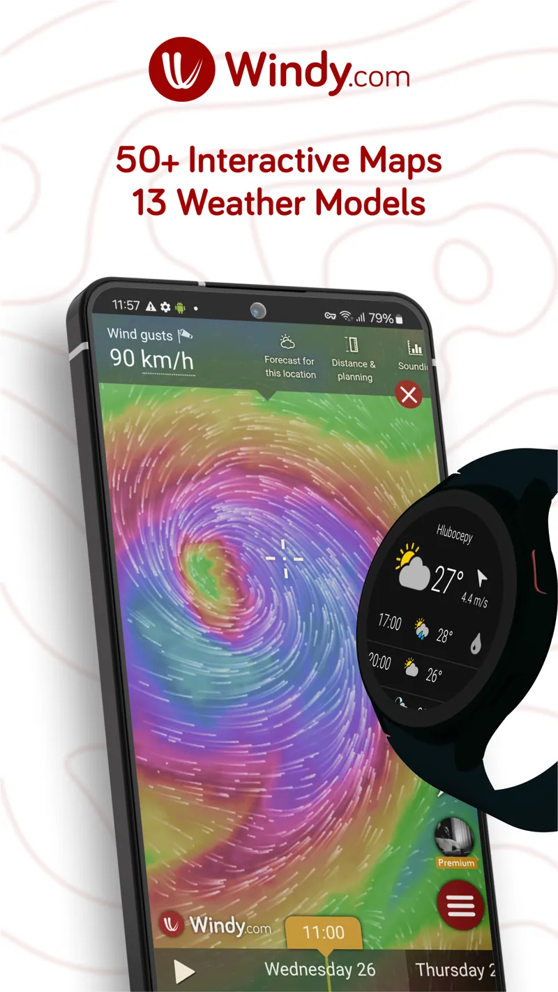 Windy.com - Weather Forecast screenshot 1