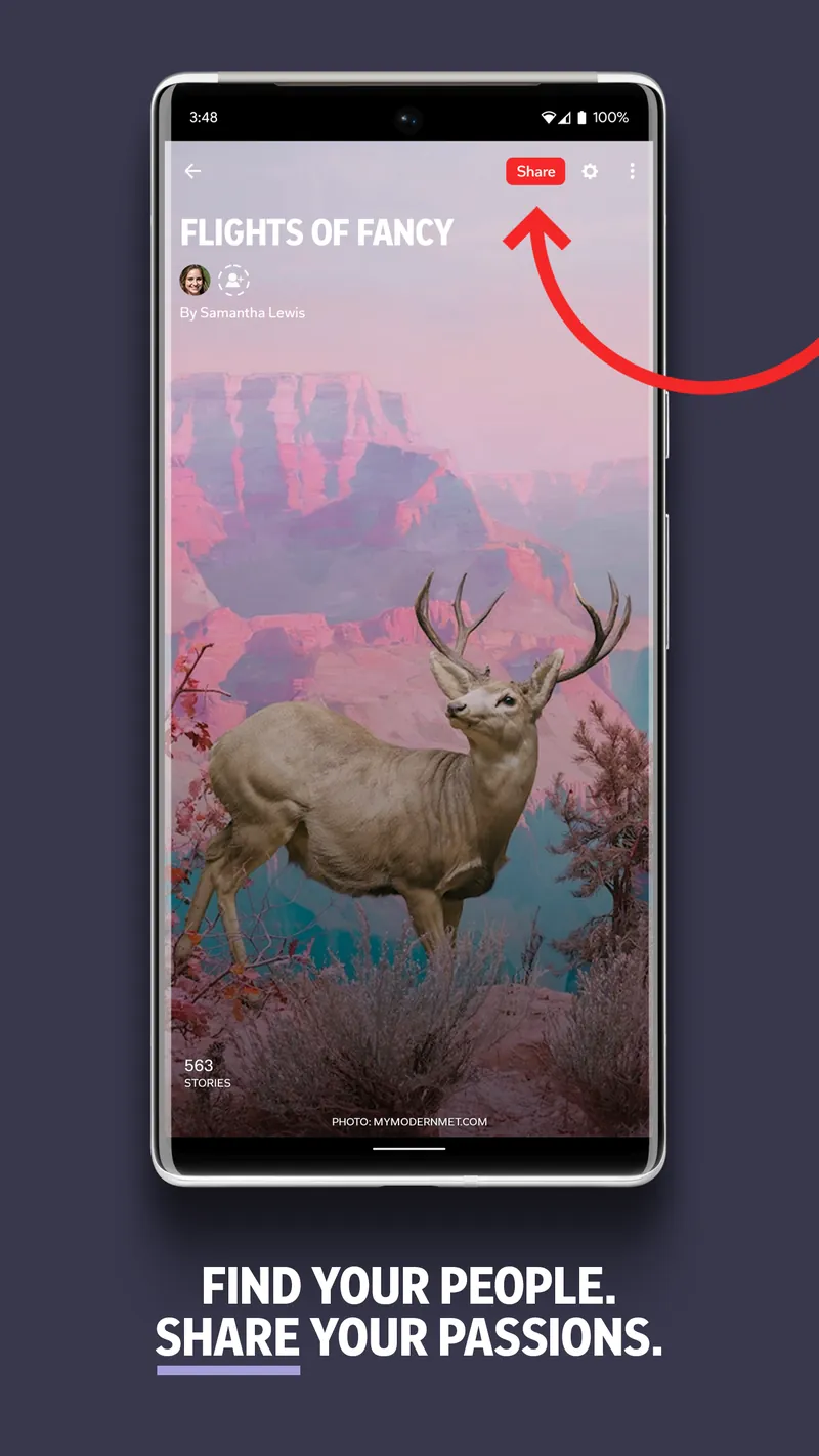 Flipboard:Your Social Magazine screenshot 5